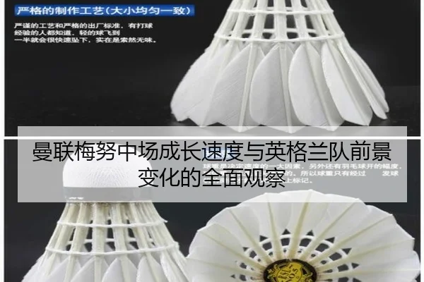 曼联梅努中场成长速度与英格兰队前景变化的全面观察